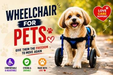 Wheelchair for Pets